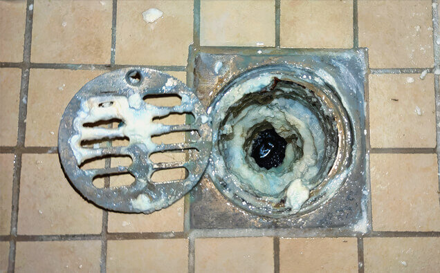 https://blockeddrainsashby.com.au/uploads/2025/07/blocked-shower-drains-33151.jpg