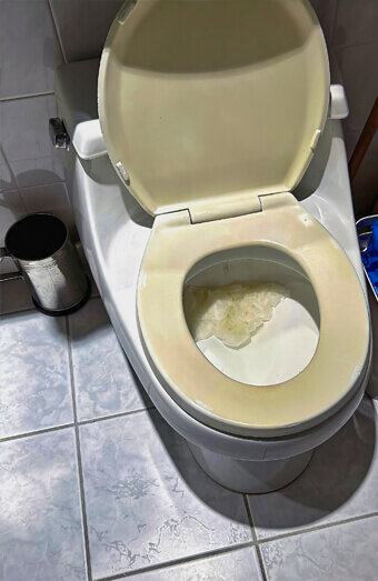 https://blockeddrainsashby.com.au/uploads/2025/07/blocked-toilet-27293.jpg