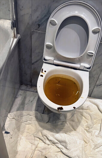 https://blockeddrainsashby.com.au/uploads/2025/07/blocked-toilet-27793.jpg