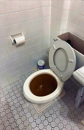 https://blockeddrainsashby.com.au/uploads/2025/07/blocked-toilet-99184.jpg