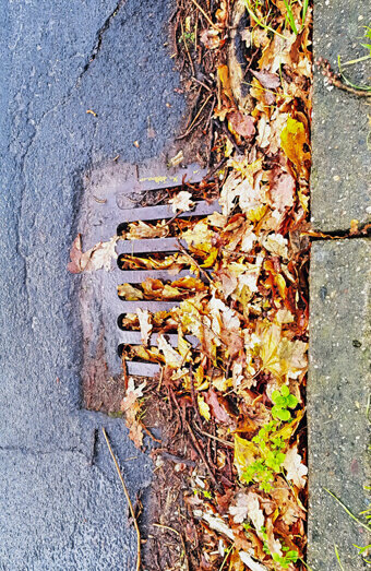 https://blockeddrainsashby.com.au/uploads/2025/07/stormwater-drains-48051.jpg